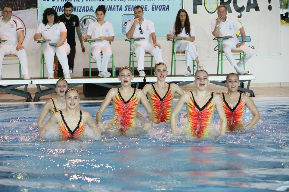 Campeonato Nacional de Inverno de Natação Artística