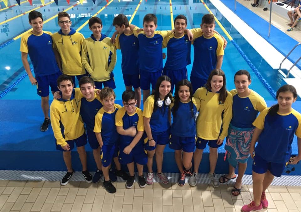 Torneio Nadador Completo