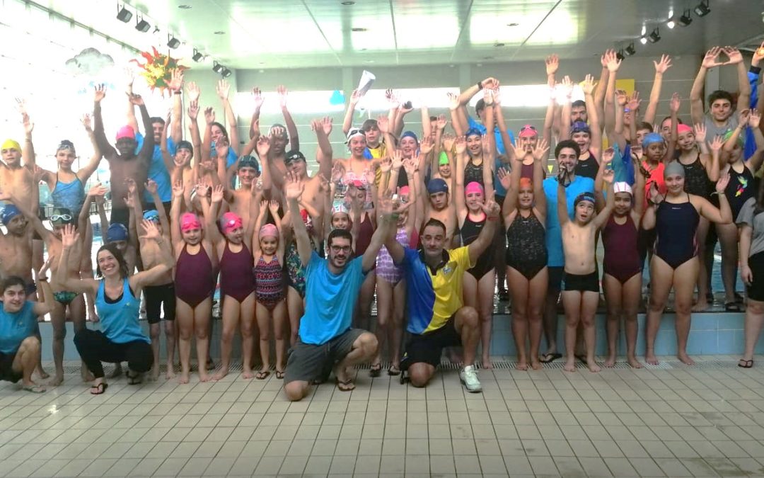 ESCOLA DE NATAÇÃO GESLOURES > 1ª BRAÇADA Stº ANTÓNIO dos CAVALEIROS